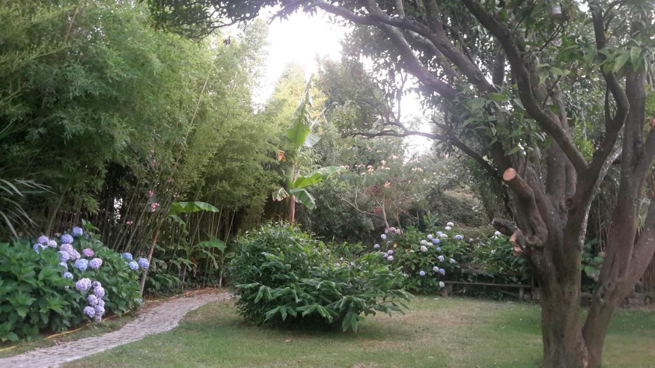 مبيت وإفطار أفيرو Casa 3 Aguias المظهر الخارجي الصورة
