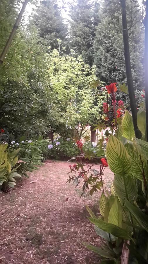 مبيت وإفطار أفيرو Casa 3 Aguias المظهر الخارجي الصورة